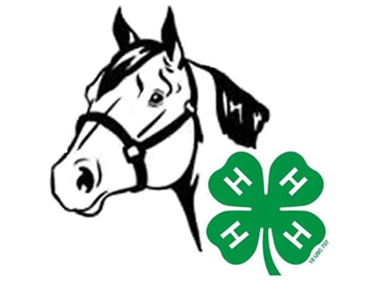Logo for 2026 Brown County 4-H Horse Show